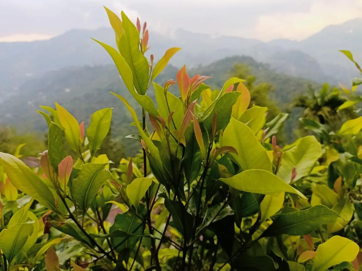 Grace Munnar Residency Bed & Breakfast