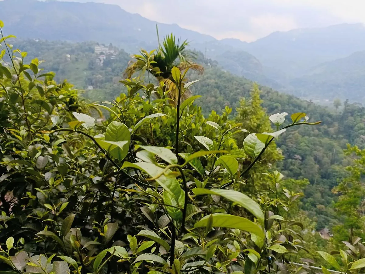 Grace Munnar Residency Bed & Breakfast India
